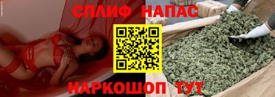 ПСИЛОЦИБИНОВЫЕ ГРИБЫ Тверь