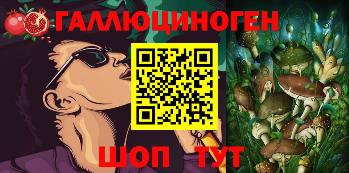Галлюциногенные грибы Cubensis  Вход с VPN  Барабинск 